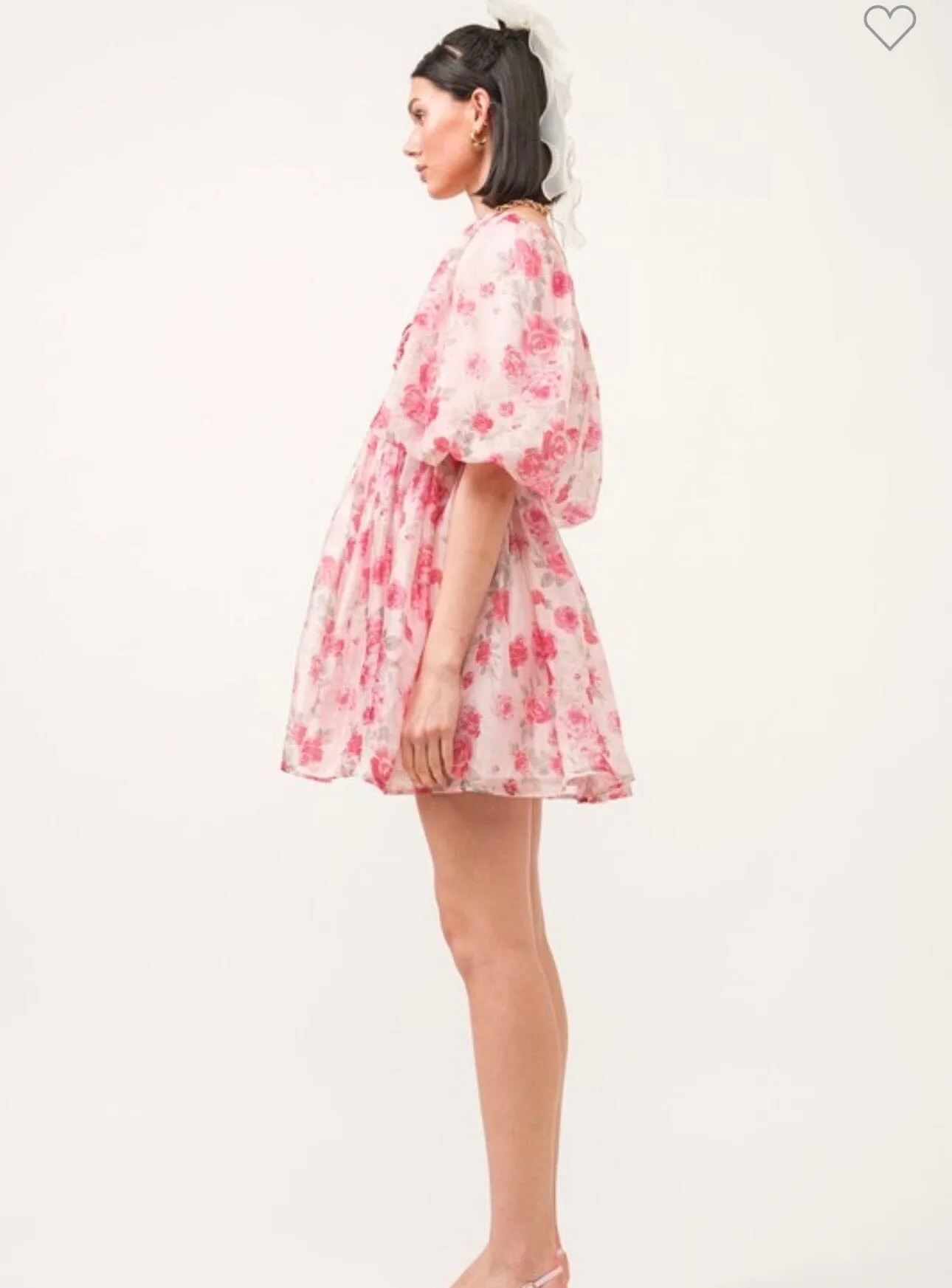 Rose Garden Dress