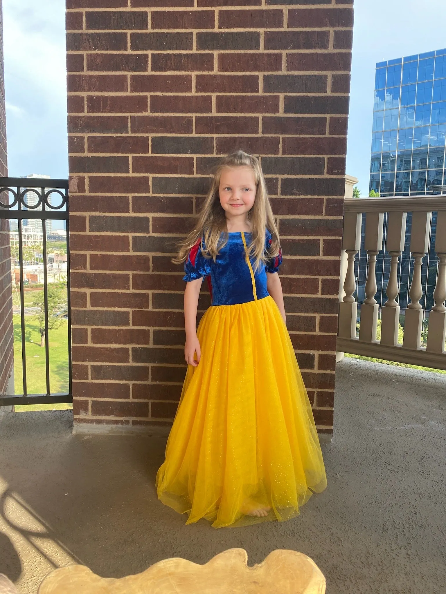 The Fairest Of Them All Princess Costume Dress